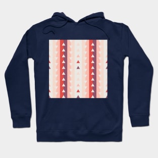 Vertical stripes and triangles pattern Hoodie